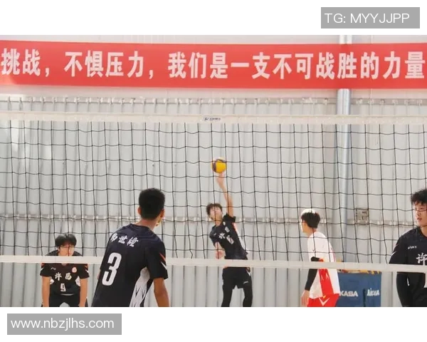 从零基础到排球高手：全面掌握排球技术与战术的实用指南